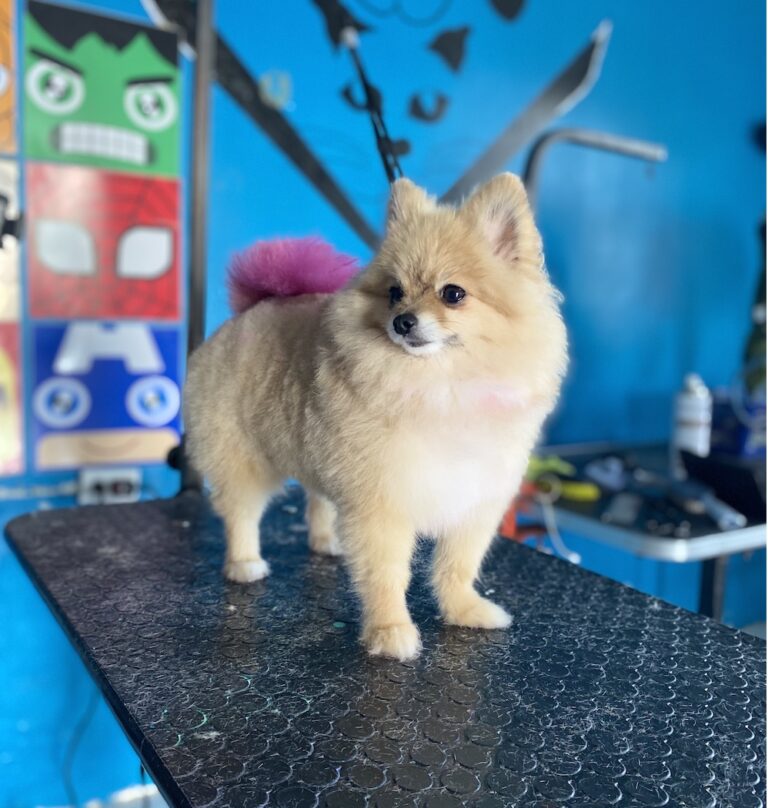 Imagen 25 09 25 a las 8.13 a.m 768x808